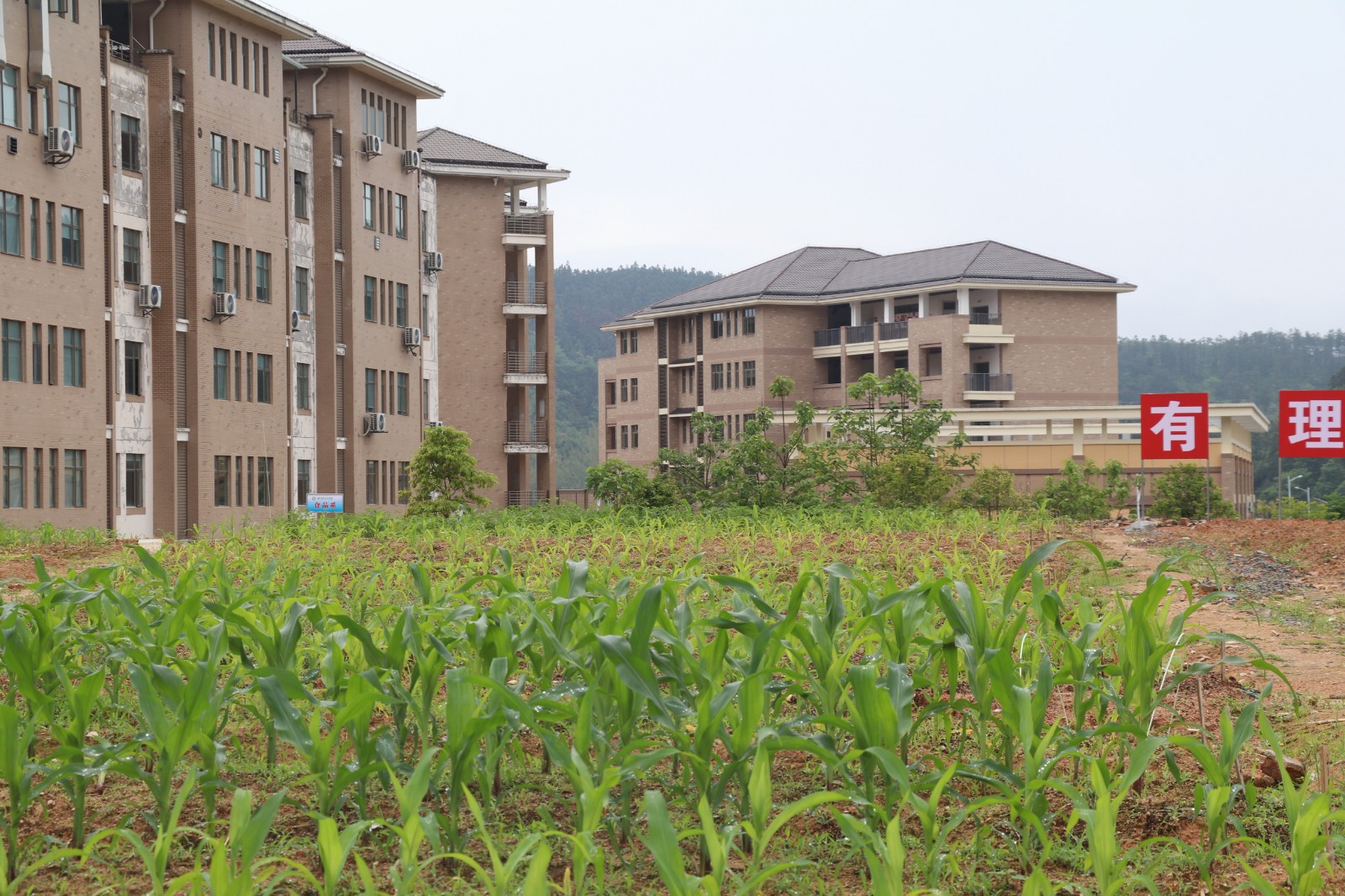 IMG_9026.JPG IMG_9026.JPG