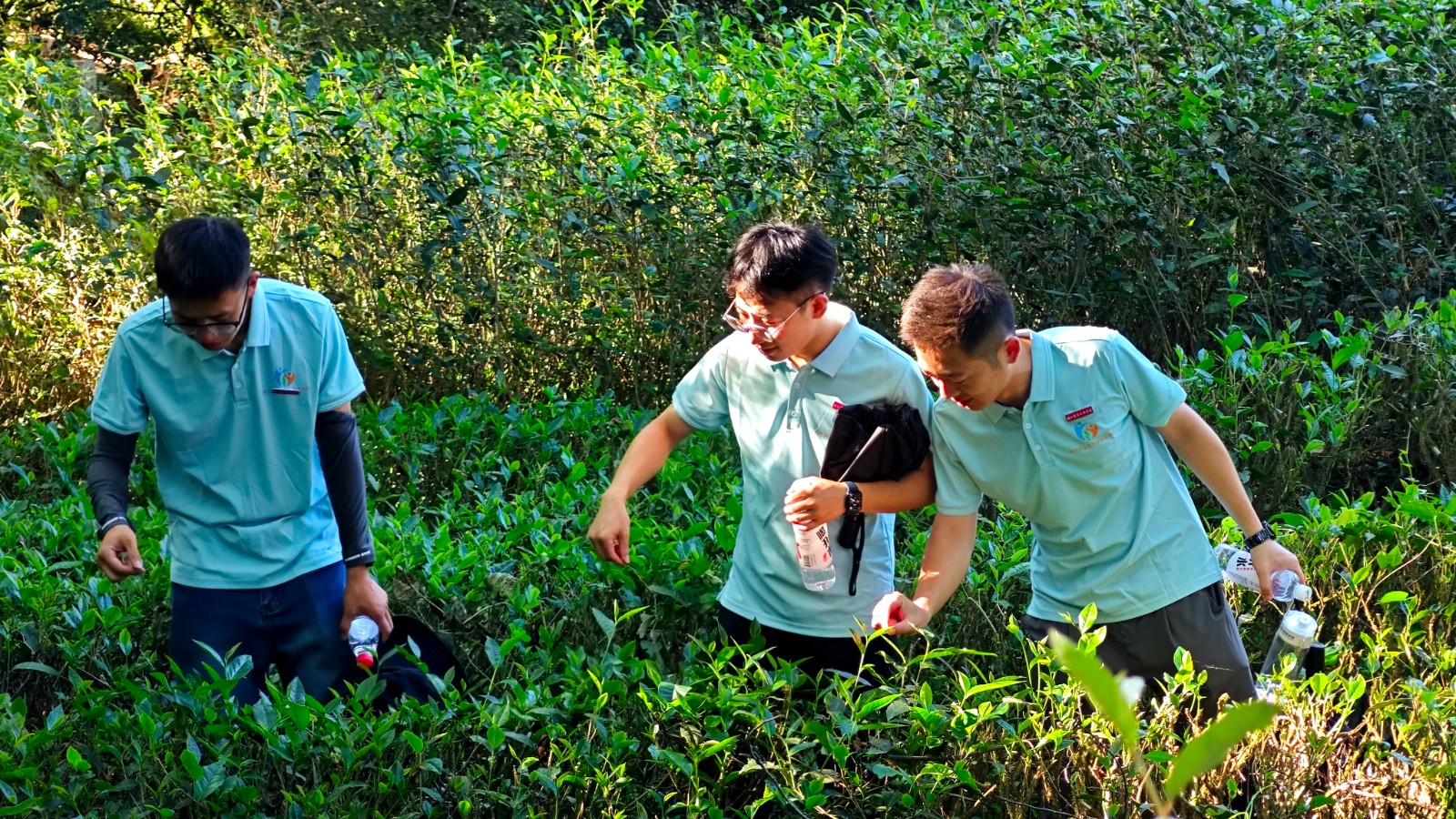 24a883288f4dbdb93e0995346e082bb.jpg 24a883288f4dbdb93e0995346e082bb.jpg